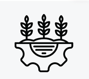 image_2025-02-24_162722091